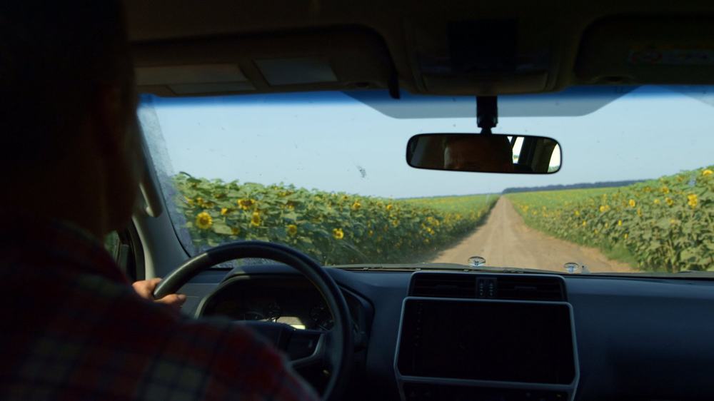 Widok z fotela pasażera na wiejską drogę latem